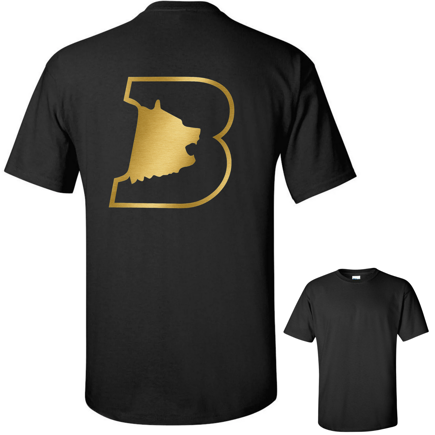 TEAM MEMBERS ONLY - Bradshaw Mountain Dance Team Gold Logo