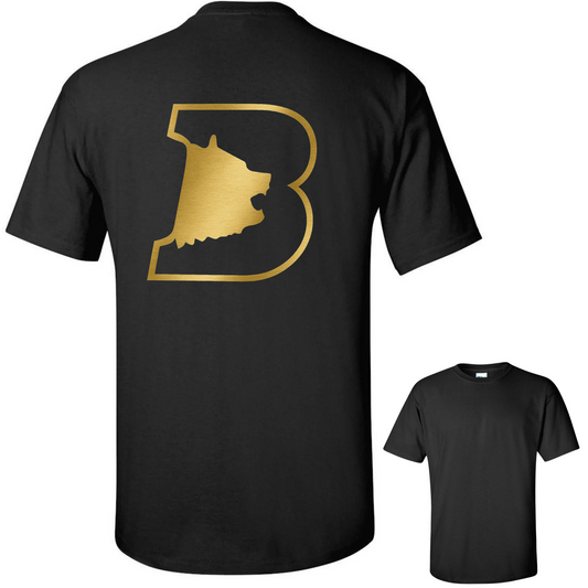 TEAM MEMBERS ONLY - Bradshaw Mountain Dance Team Gold Logo